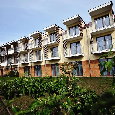 Amberia Premium